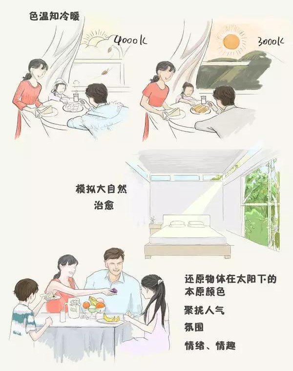家里的筒燈、射燈、軌道燈，怎樣布局才合理？